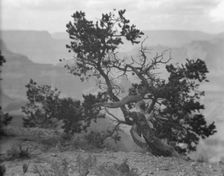 Grand Canyon, Arizona, between 1899 and 1928. Creator: Arnold Genthe