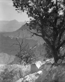 Grand Canyon, Arizona, between 1899 and 1928. Creator: Arnold Genthe