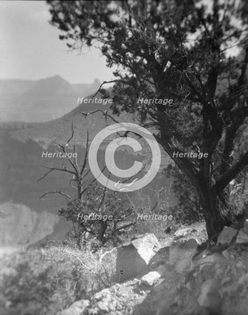 Grand Canyon, Arizona, between 1899 and 1928. Creator: Arnold Genthe.