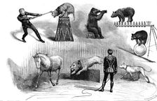 Grand Circus at Covent-Garden Theatre, 1890. Creator: P Naumann