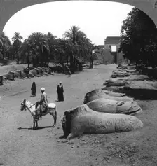 Grand avenue approaching the Temple of Karnak, Thebes, Egypt 1905.Artist: Underwood & Underwood