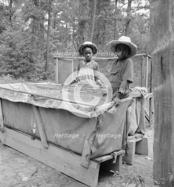Grandchildren of tobacco sharecropper down at barns, Wake County, North Carolina, 1939. Creator: Dorothea Lange.