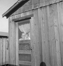 Grandmother and grandchild, Greenfield, Salinas Valley, California, 1939. Creator: Dorothea Lange