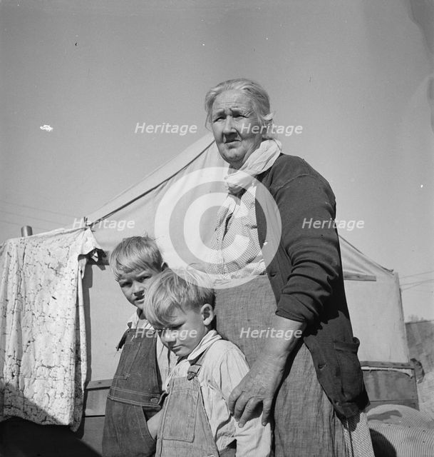 Grandmother of twenty-two children living in Kern County migrant camp, California, 1936. Creator: Dorothea Lange.