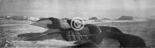 'Granite Blocks Planed by Ancient Glaciers at Cape Roberts', c1911, (1913).  Artist: T Griffith Taylor.