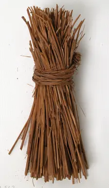 Grass, Coptic, 580-640. Creator: Unknown