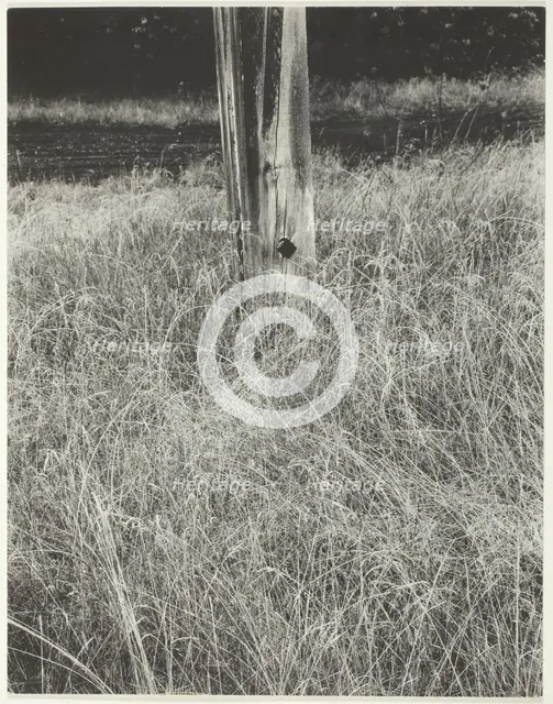 Grass and Flagpole, 1933. Creator: Alfred Stieglitz.