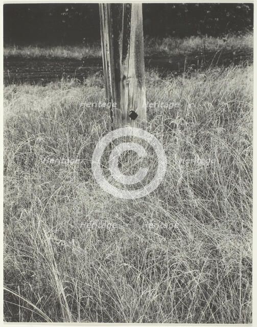 Grass and Flagpole, 1933. Creator: Alfred Stieglitz.
