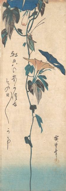 Grasshopper and Morning-glory Vine, ca. 1835., ca. 1835. Creator: Ando Hiroshige