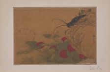 Grasshopper on Rock, 15th century. Creator: Wen Liang