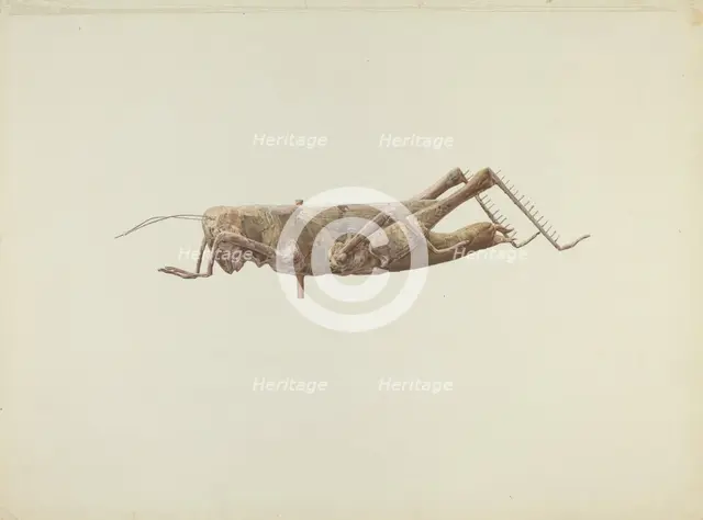 Grasshopper Weather Vane, c. 1936. Creator: Joseph Goldberg.