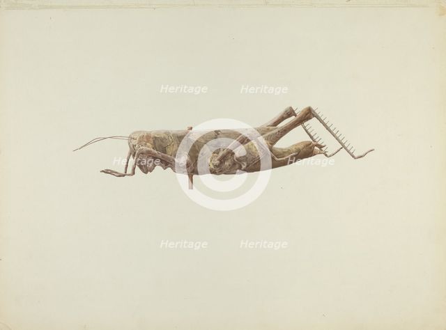 Grasshopper Weather Vane, c. 1936. Creator: Joseph Goldberg.