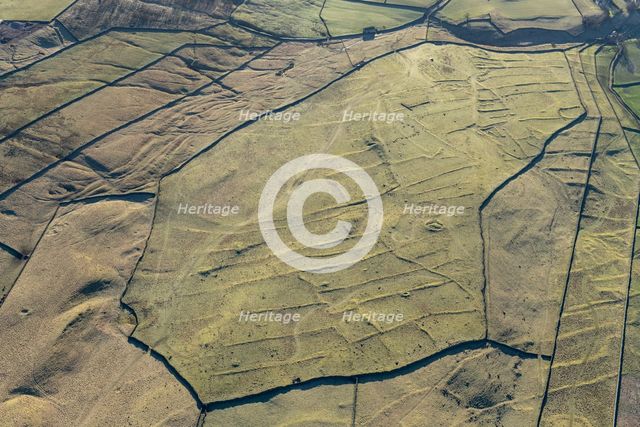 Grassington enclosures, North Yorkshire, 2024. Creator: Robyn Andrews.