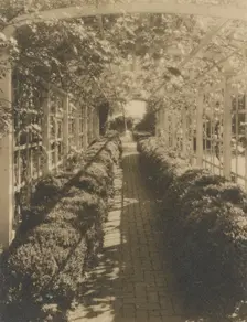 Grape arbor, George Read II house...New Castle, Delaware, 1928. Creator: Frances Benjamin Johnston