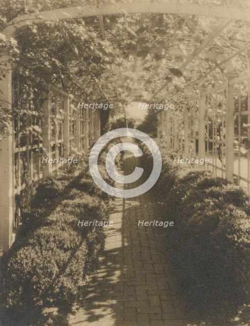 Grape arbor, George Read II house...New Castle, Delaware, 1928. Creator: Frances Benjamin Johnston.