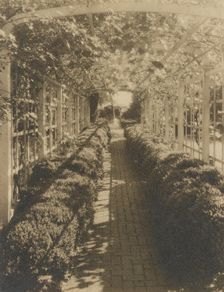 Grape arbor, George Read II house...New Castle, Delaware, 1928. Creator: Frances Benjamin Johnston