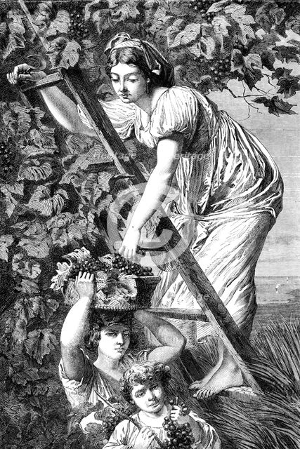 "Grape Gathering near Naples", by A. De Curzon, in the Exhibition of Fine Arts at Paris, 1864.  Creator: Unknown.