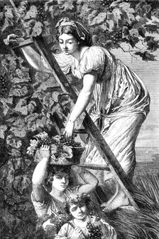 "Grape Gathering near Naples", by A. De Curzon, in the Exhibition of Fine Arts at Paris, 1864. Creator: Unknown