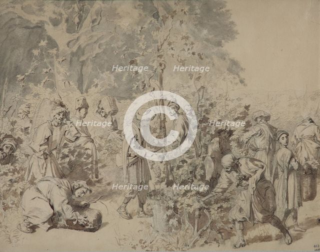 Grape harvesting, Between 1840 and 1847. Artist: Gagarin, Grigori Grigorievich (1810-1893)