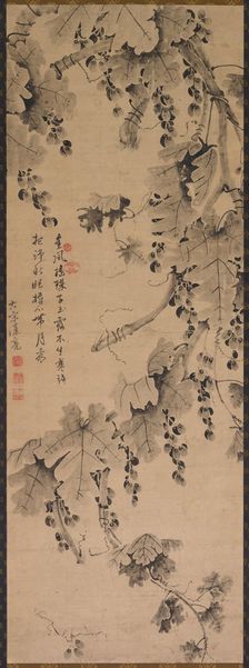 Grapevine, 1700s to 1800s. Creator: Unknown