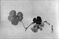Grapevine, after 1790. Creator: Go Shun