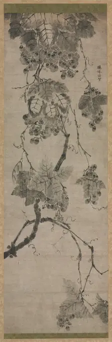 Grapes, 1700s. Creator: Unknown