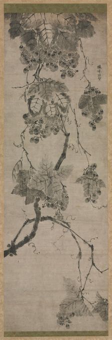 Grapes, 1700s. Creator: Unknown