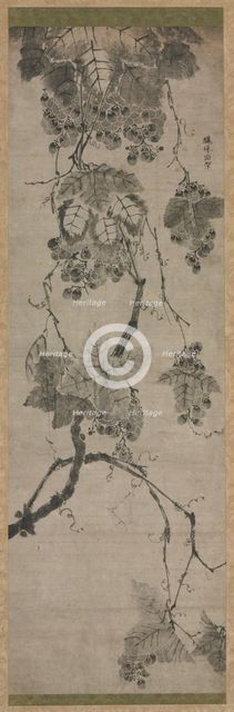 Grapes, 1700s. Creator: Unknown.