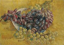 Grapes