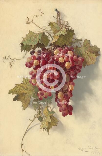 Grapes Against White Wall, 1883. Creator: Edwin Deakin.