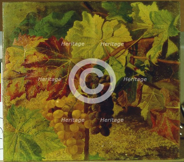  'Grapes'  by Josep Mirabent.