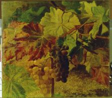Grapes by Josep Mirabent