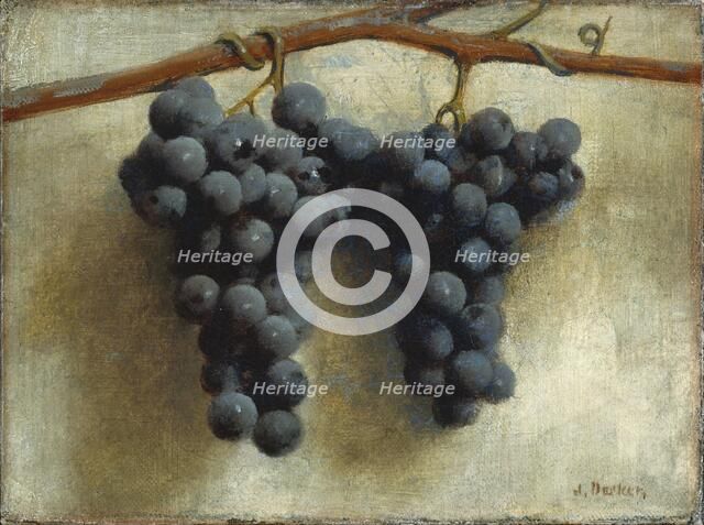 Grapes, c. 1890/1895. Creator: Joseph Decker.