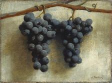 Grapes, c. 1890/1895. Creator: Joseph Decker