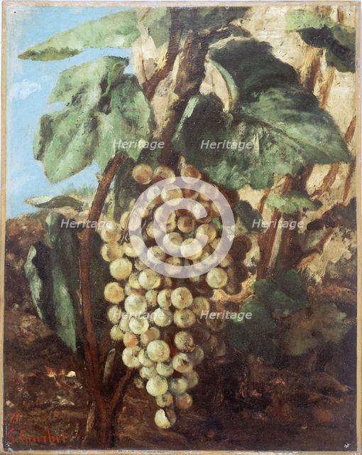 Grappe de raisins, 1871. Creator: Gustave Courbet.