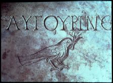 Gravestone with the figure of a dove or a sparrow in the Catacombs of San Calixtus