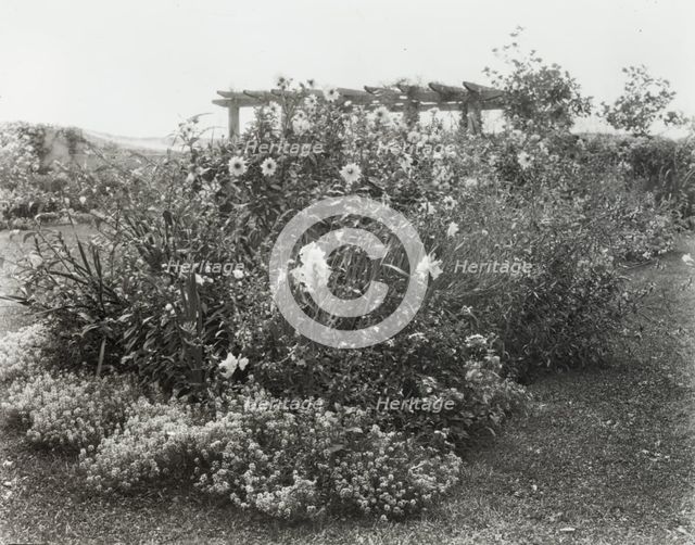 "Gray Gardens," Robert Carmer Hill house, Lily Pond Lane, East Hampton, New York, 1914. Creator: Frances Benjamin Johnston.