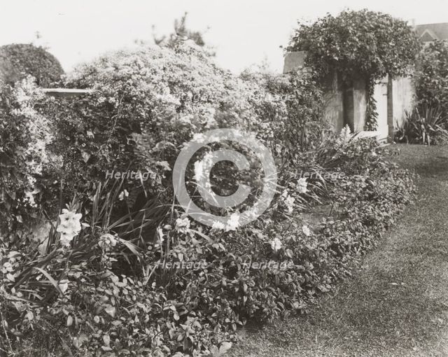 "Gray Gardens," Robert Carmer Hill house, Lily Pond Lane, East Hampton, New York, c1916. Creator: Frances Benjamin Johnston.