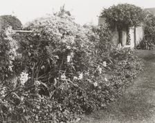 "Gray Gardens," Robert Carmer Hill house, Lily Pond Lane, East Hampton, New York, c1916. Creator: Frances Benjamin Johnston