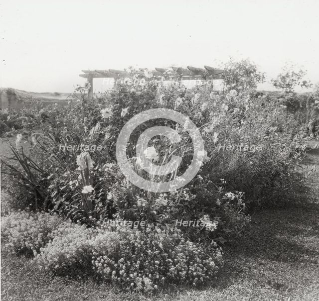 "Gray Gardens," Robert Carmer Hill house, Lily Pond Lane, East Hampton, New York, c1914. Creator: Frances Benjamin Johnston.