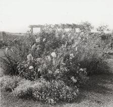 "Gray Gardens," Robert Carmer Hill house, Lily Pond Lane, East Hampton, New York, c1914. Creator: Frances Benjamin Johnston