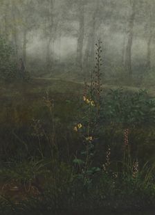 Gray Mullein in the Undergrowth, 1865. Creator: Leon Bonvin