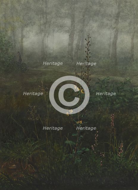 Gray Mullein in the Undergrowth, 1865. Creator: Leon Bonvin.
