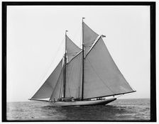 Grayling, 1890 Aug 2. Creator: Unknown