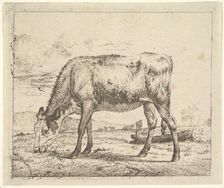 Grazing Calf, from Different Animals, 1658. Creator: Adriaen van de Velde