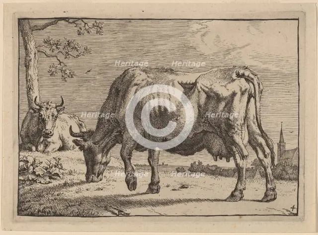 Grazing Cow, 1650. Creator: Paulus Potter.