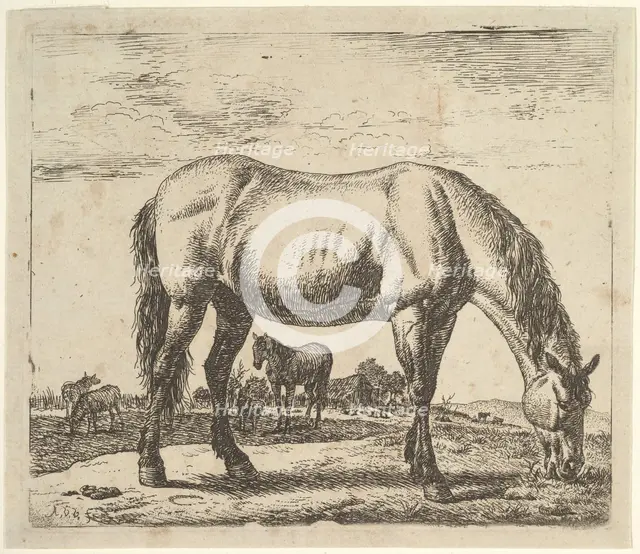 Grazing Horse, from Different Animals. Creator: Adriaen van de Velde.