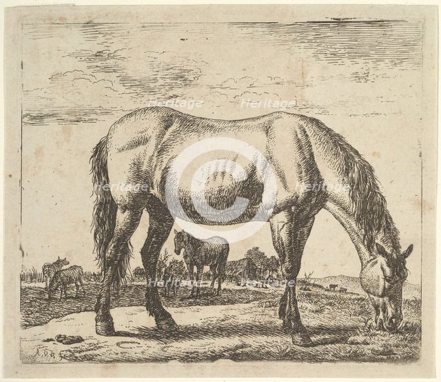Grazing Horse, from Different Animals. Creator: Adriaen van de Velde.