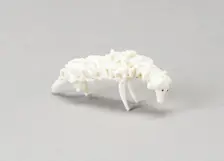 Grazing Lamb, France, 18th century. Creator: Verres de Nevers
