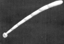 Great comet of 1680 (Kirch) as it appeared as it approached the Sun. Creator: Unknown